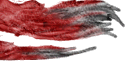 lk1 demon fox textures 2.png