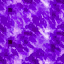 lk1 enemy vampire effect texture.png