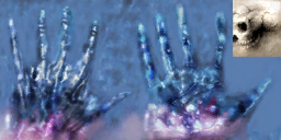 lk1 hand of pain textures.png