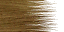 lk1 katia textures 3.png