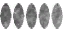 lk1 larval fly textures 3.png