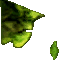 lk1 rheebus textures 4.png