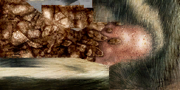 lk1 running bird textures 3.png