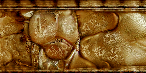 lk1 sand worm textures 2.png