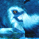 lk1 water bird textures 1.png