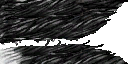 lk1 white tiger textures 2.png