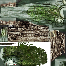 lk2 dryad textures.png