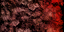 lk2 fire golem effect texture.png