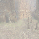 lk2 fossil boneyard mystery icon.png