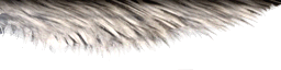 lk2 god of destruction textures 1.png
