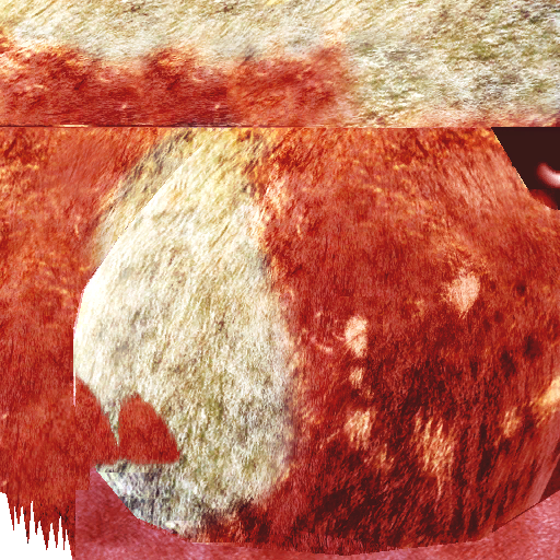 lk2 huge fairy textures.png