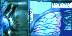 lk2 larval fly textures 2.png