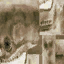lk2 necromancer effect texture.png
