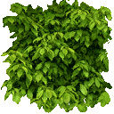lk2 rheebus & fenril effect 2.png