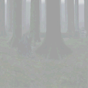 lk2 ruldo forest mystery icon.png