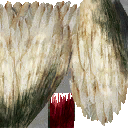 lk2 running bird textures 1.png