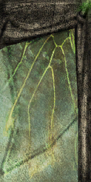 lk2 ryuhi textures 2.png